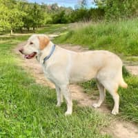 Photo of Max