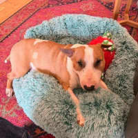 Photo of Heidi