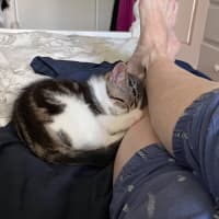 Photo of Jasper