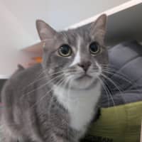 Photo of Sparkle