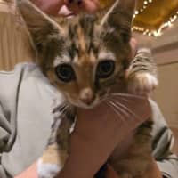 Photo of Enid Addams