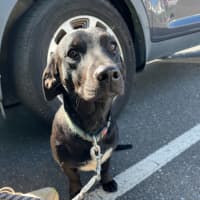 Photo of Bud