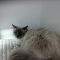 Photo of Milo