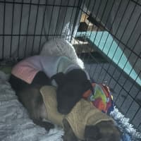 Photo of Betty 🎾🌹