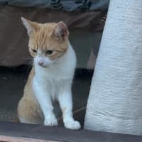 Photo of Olivia O'cleary