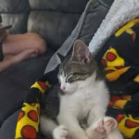 Photo of Jazzy