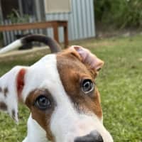 Photo of Mystique