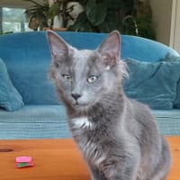 Photo of Dolly Purrton