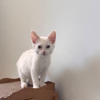 Photo of Wendy