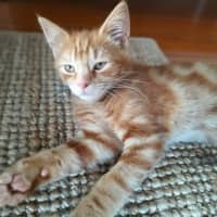 Photo of 🧡 G A R Y 🧡