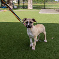 Photo of Lottie Bell