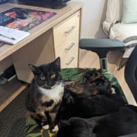 Photo of Miss Marple