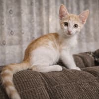 Photo of Fin