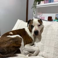 Photo of Thor