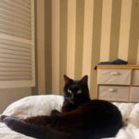 Photo of Mabel 