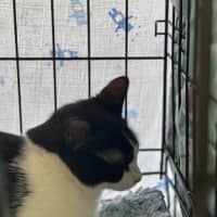 Photo of Meg And Amy