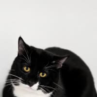 Photo of Squiggle