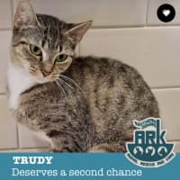Photo of Trudy
