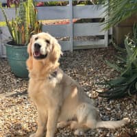 Photo of Gabe