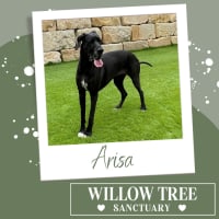 Photo of Arisa