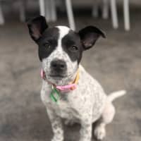 Photo of Sabrina