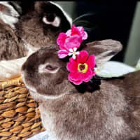 Photo of Bunbun And Lil Man