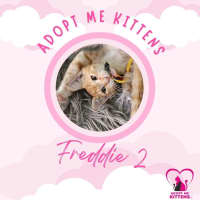 Photo of Freddie