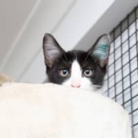 Photo of Little Bit Cutesy