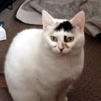 Photo of Emma Sta012305