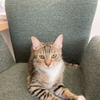 Photo of Leia