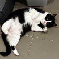 Photo of Sam