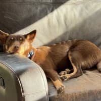 Photo of Hershey