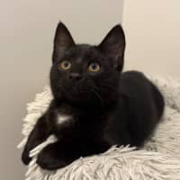 Photo of Banksy 🎨