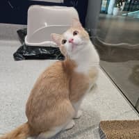 Photo of Little Jack