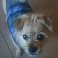 Photo of Kandii