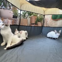 Photo of Edward (With Alice)