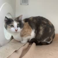 Photo of Elinor