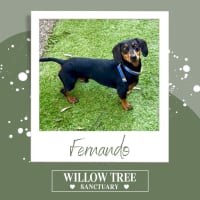 Photo of Fernando