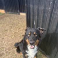 Photo of Huddy