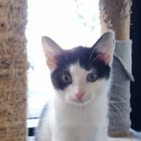 Photo of Esmeralda Joy