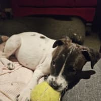 Photo of Dorothy Anne