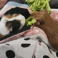 Photo of Zach & Bubbles