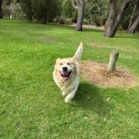 Photo of Sarrh Falko 