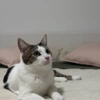 Photo of Princess Snuggle Bum