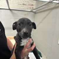 Photo of Quarter Past