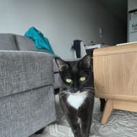 Photo of Sadie