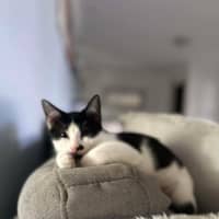Photo of Katara