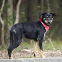 Photo of Tia