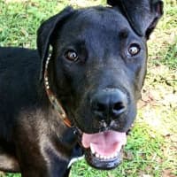 Photo of Princess Grace