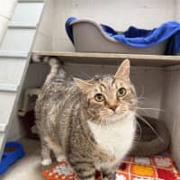 Photo of Mildred